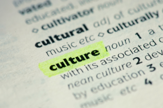 Novidades acerca do Estatuto dos Profissionais da Cultura